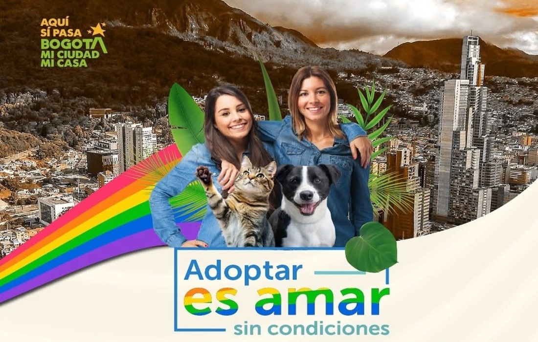 Reconozcamos las familias interespecie en Bogotá con una jornada de adopción especial